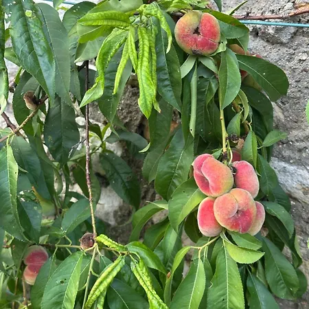 Chateau De La Bucherie Hotel 3*