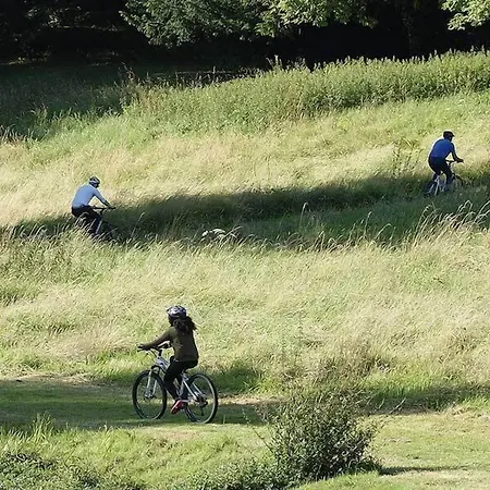 Chateau De La Bucherie Saint-Cyr-en-Arthies