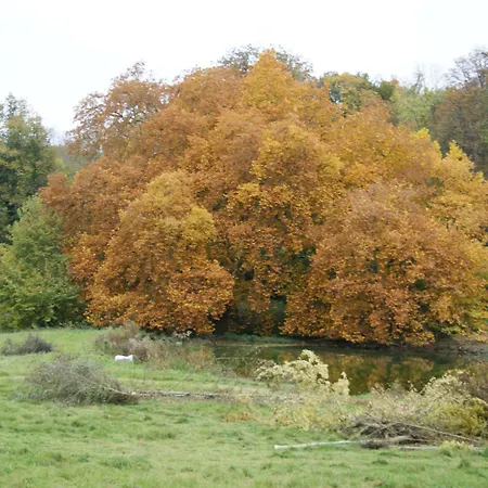 Hotel Chateau De La Bucherie