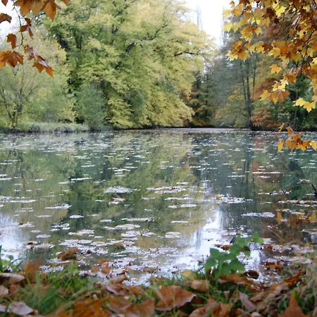 Chateau De La Bucherie Hotel Saint-Cyr-en-Arthies