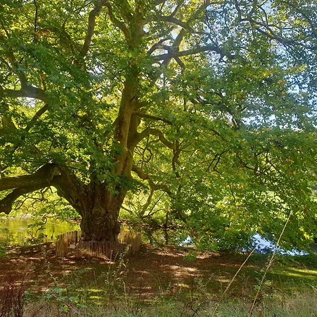Chateau De La Bucherie